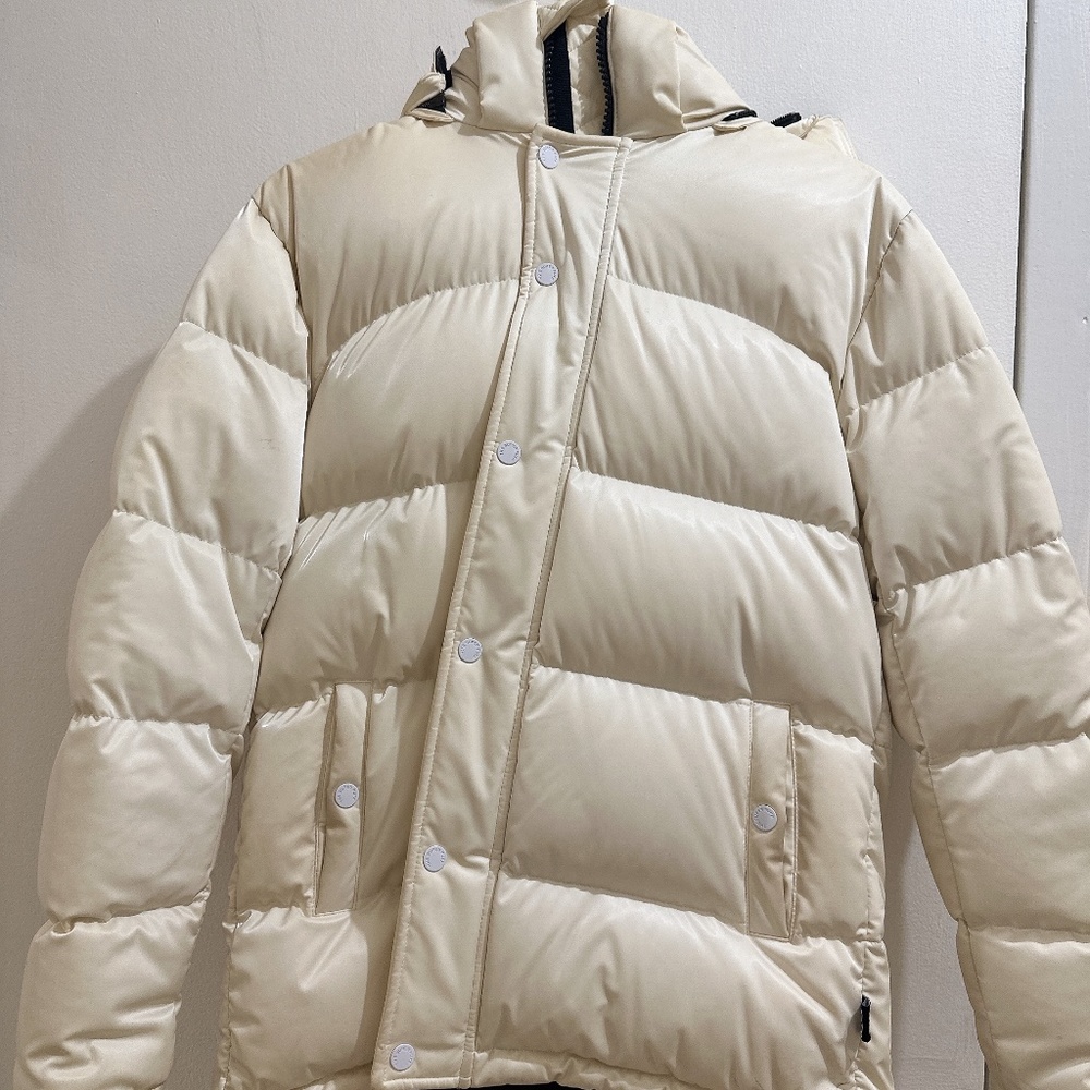Aritzia liquid shine super Puffer Jacket